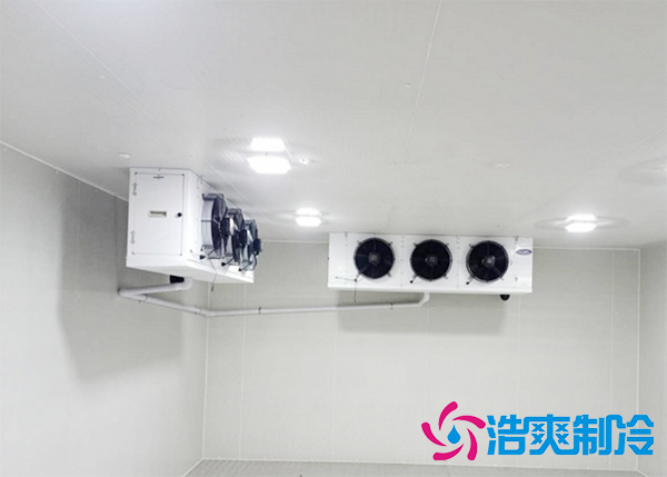 2000立方米农贸批发市场泡芙APP短视频建造设计方案及全套设备配置清单-泡芙视频官网下载免费制冷