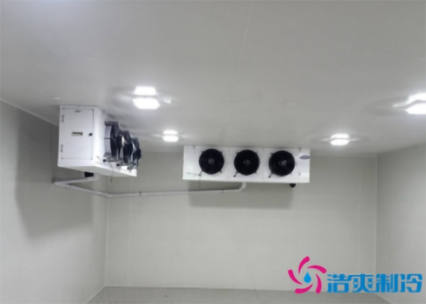 蔬菜种植基地建造600立方米保鲜泡芙APP短视频大概需要多少钱？-泡芙视频官网下载免费制冷