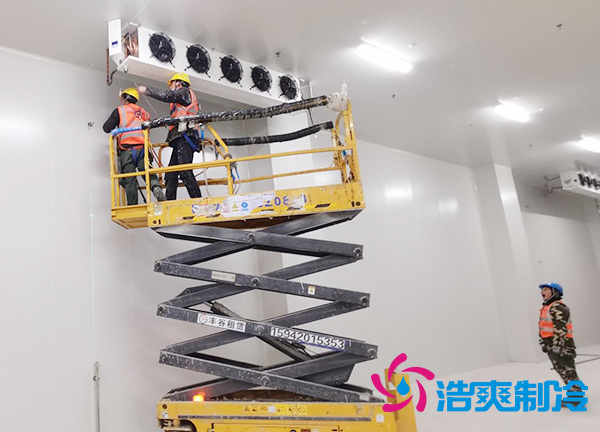 蔬菜种植基地建造600立方米保鲜泡芙APP短视频大概需要多少钱？-泡芙视频官网下载免费制冷