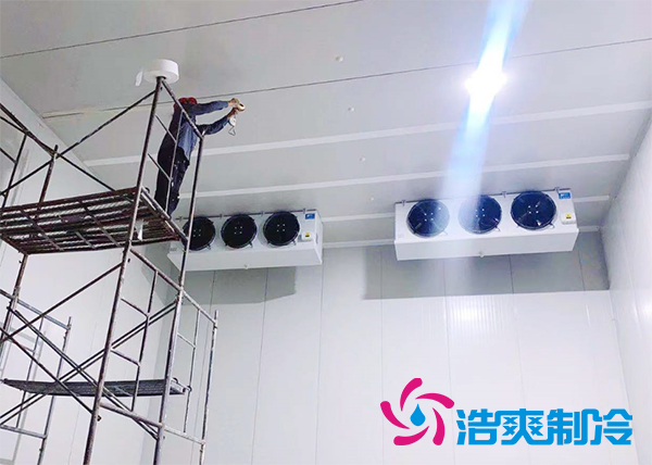 果蔬原产地建造500吨气调泡芙APP短视频造价成本多少钱？-泡芙视频官网下载免费制冷
