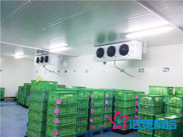 茶叶泡芙APP短视频设置多少温度合适？-泡芙视频官网下载免费制冷