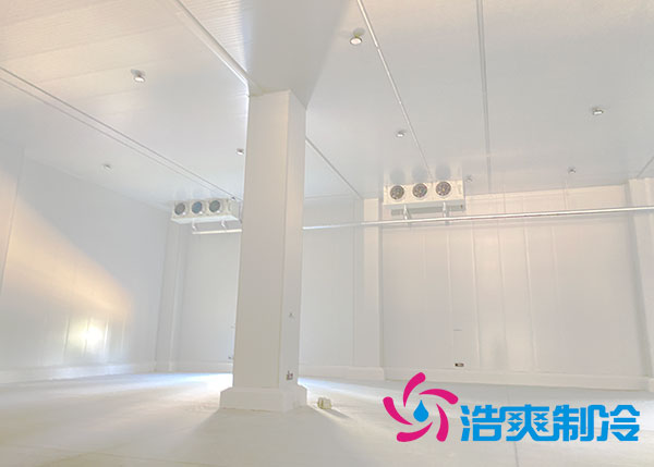 宁波农产品保鲜库建造设备价格多少钱？-泡芙视频官网下载免费制冷
