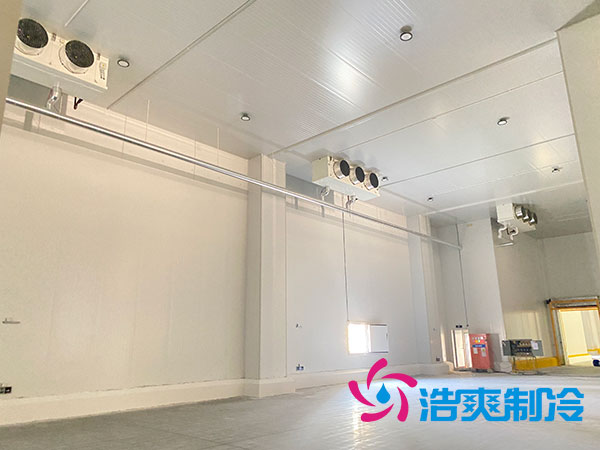 宁波农产品保鲜库建造设备价格多少钱？-泡芙视频官网下载免费制冷