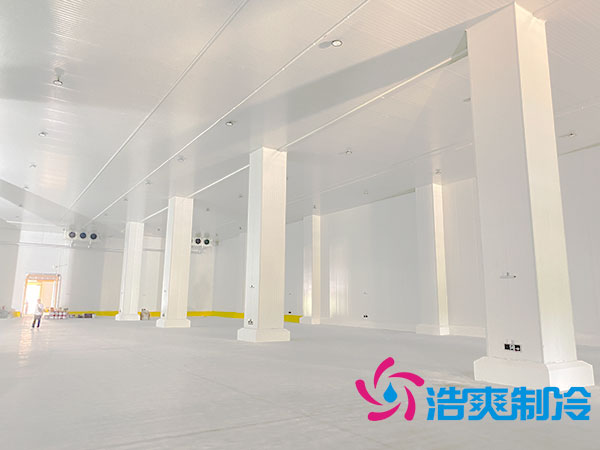 上海低温冷冻库建造厂家-泡芙视频官网下载免费制冷
