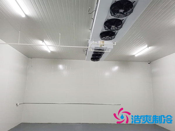 500吨泡芙APP短视频造价大概需要多少钱?500吨各类泡芙APP短视频造价表对比-泡芙视频官网下载免费制冷