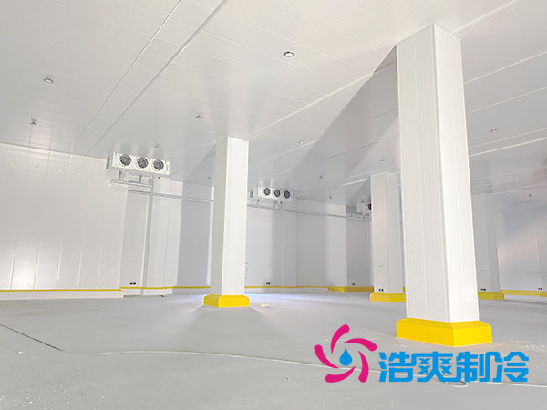 2000吨泡芙APP短视频造价多少钱？2000吨各类泡芙APP短视频造价开支一览表-泡芙视频官网下载免费制冷
