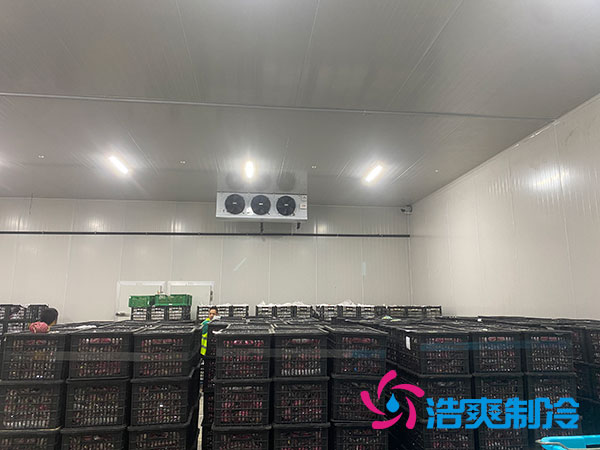 嘉定鸡蛋泡芙APP短视频安装建造多少钱？-泡芙视频官网下载免费制冷