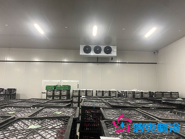嘉定鸡蛋泡芙APP短视频安装建造多少钱？-泡芙视频官网下载免费制冷