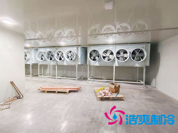 太仓低温小型泡芙APP短视频价格多少钱？-泡芙视频官网下载免费制冷