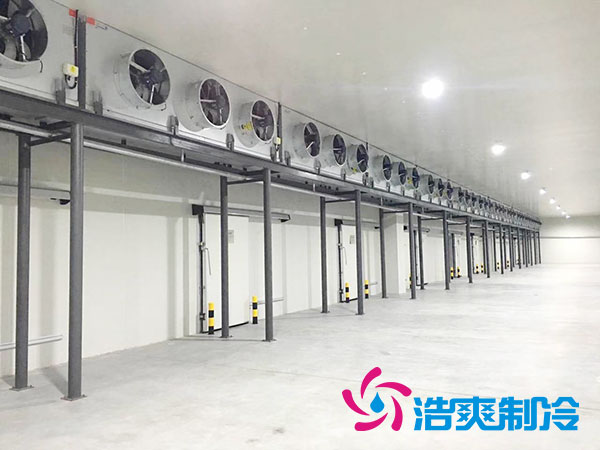 太仓低温小型泡芙APP短视频价格多少钱？-泡芙视频官网下载免费制冷