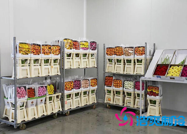 鲜花泡芙APP短视频多少钱一平方？-泡芙视频官网下载免费制冷