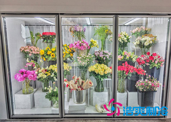 花店泡芙APP短视频适合风冷还是直冷？-泡芙视频官网下载免费制冷
