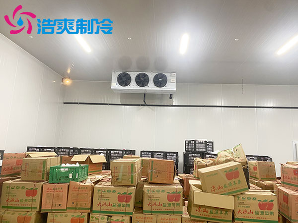 蔬菜泡芙APP短视频设备预算方案