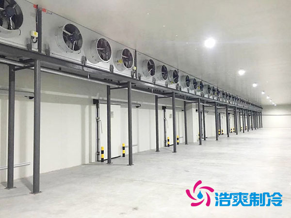 速冻泡芙APP短视频建造价格