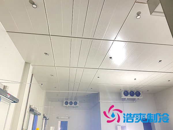 岳阳生鲜食品泡芙APP短视频建造价格多少钱？-泡芙视频官网下载免费制冷