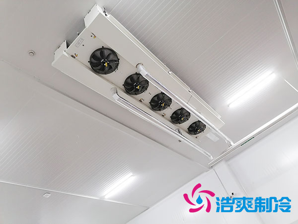 湘潭速冻食品泡芙APP短视频建设多少钱一平方？-泡芙视频官网下载免费制冷