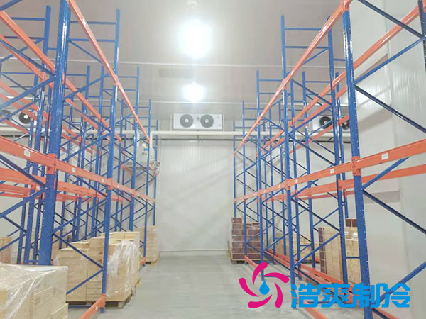 岳阳物流泡芙APP短视频建设多少钱一平方？-泡芙视频官网下载免费制冷