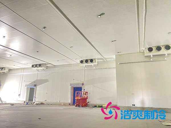 常德生鲜食品泡芙APP短视频建造成本多少钱？-泡芙视频官网下载免费制冷