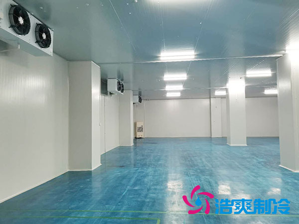 山东省农村建设1000平米的冷藏库总费用解析-泡芙视频官网下载免费制冷