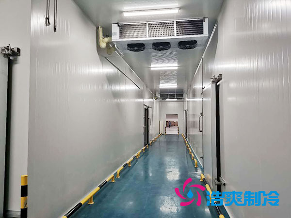 山东省农村建设1000平米的冷藏库总费用解析-泡芙视频官网下载免费制冷