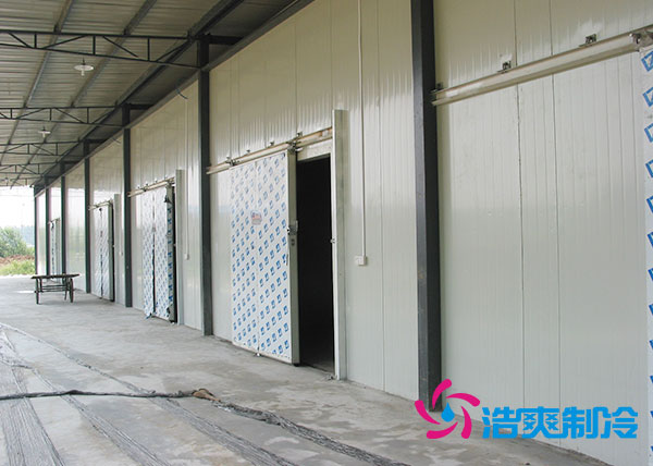 两千吨泡芙APP短视频投资成本多少钱合适？大概需要多少面积？-泡芙视频官网下载免费制冷