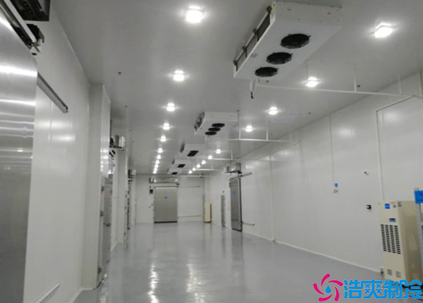 泡芙APP短视频建设