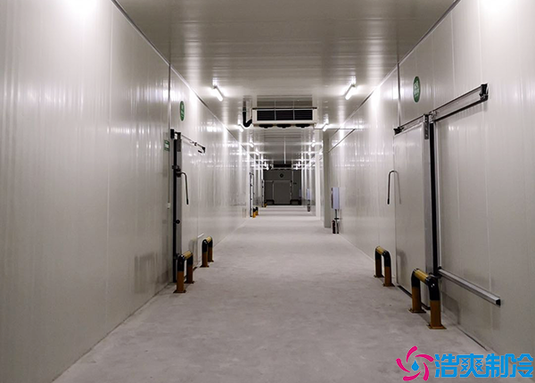 冷链食品泡芙APP短视频