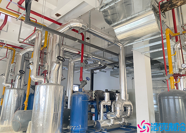 蔬菜泡芙APP短视频