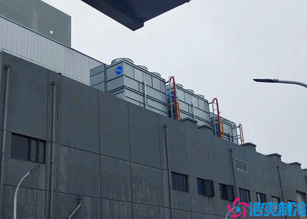 大型超市泡芙APP短视频