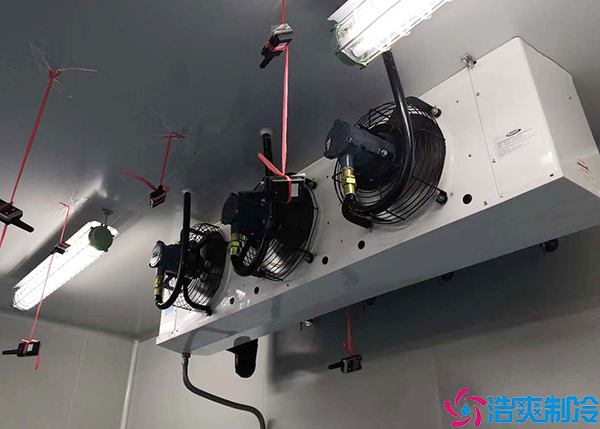 新移动泡芙APP短视频