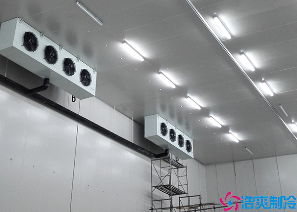 中型生鲜泡芙APP短视频