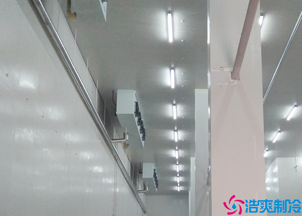 冰淇淋泡芙APP短视频