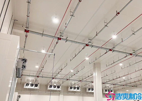 泡芙APP短视频喷淋设备