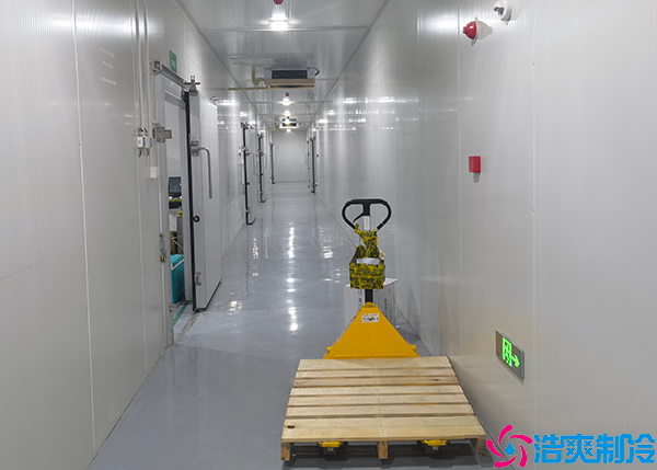 雪糕泡芙APP短视频