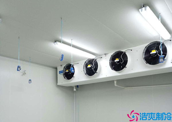 速冻泡芙APP短视频