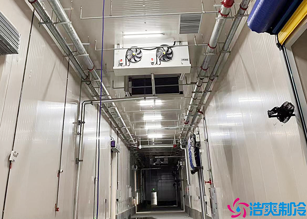 气调泡芙APP短视频