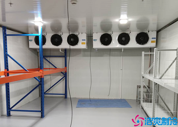 花卉泡芙APP短视频