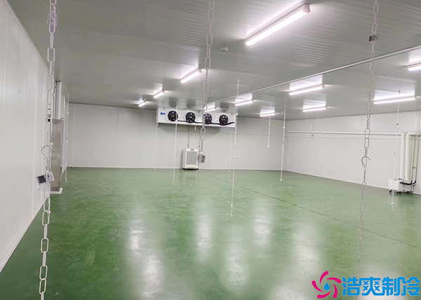 物流泡芙APP短视频