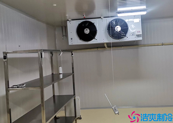 牛肉小型泡芙APP短视频