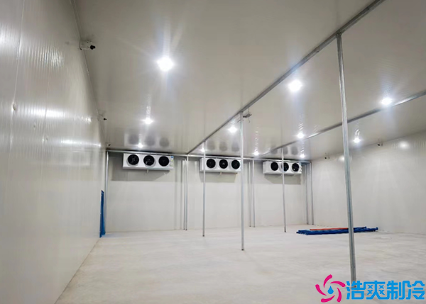 大型生鲜泡芙APP短视频