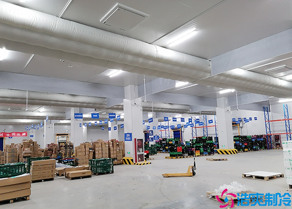 物流泡芙APP短视频