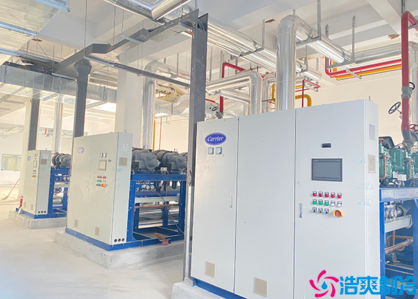 花卉小型泡芙APP短视频