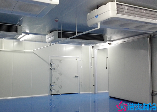 低温食品泡芙APP短视频