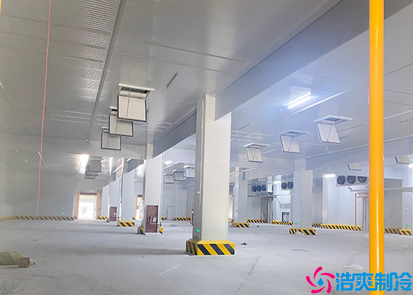 组合式泡芙APP短视频