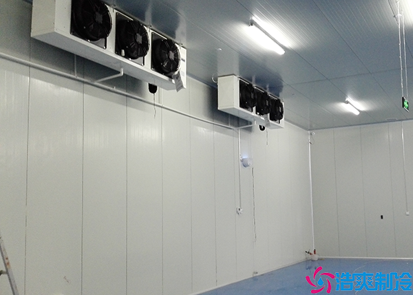 小型物流泡芙APP短视频