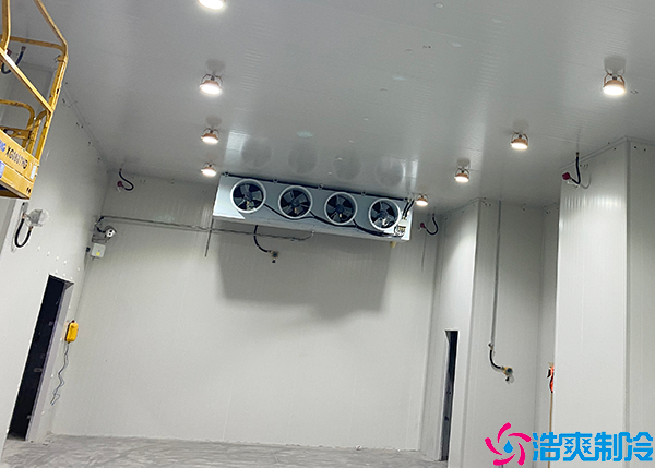 后厨泡芙APP短视频