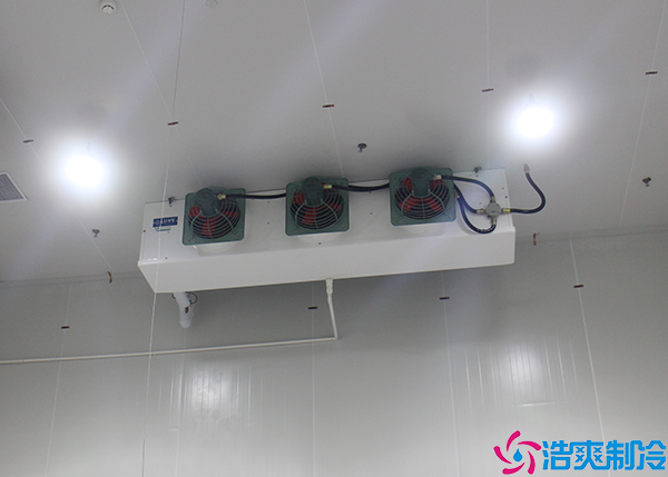 花卉泡芙APP短视频