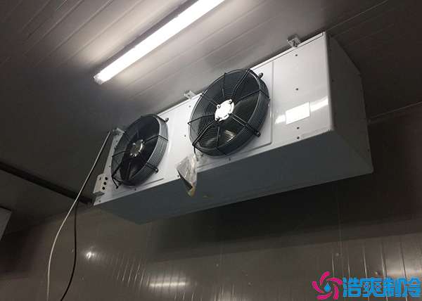 小型物流泡芙APP短视频