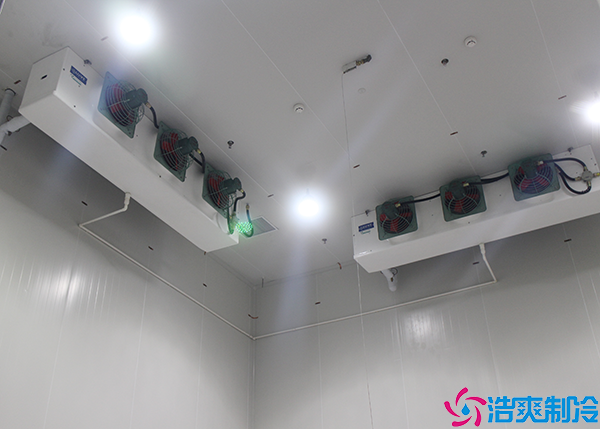 果蔬保鲜气调泡芙APP短视频