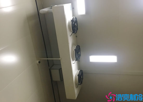 微型气调保鲜泡芙APP短视频